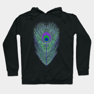 Peacock Feather Hoodie